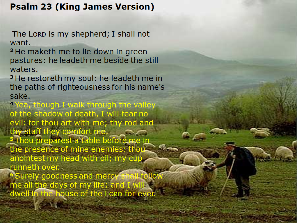 psalms-23-king-james-version1 | For You